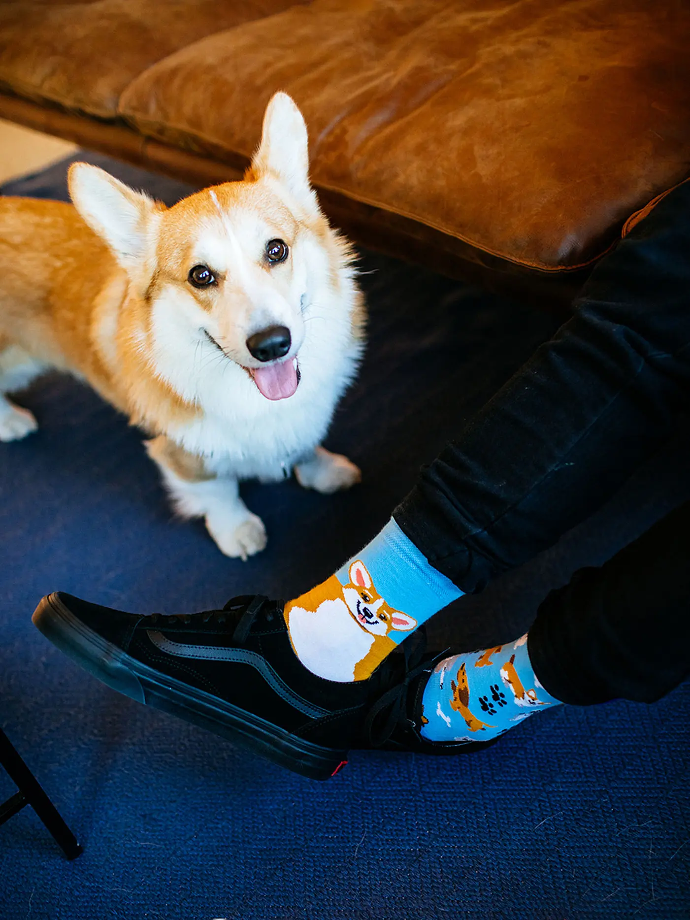MANY MORNINGS | Damen Socken PLAYFUL CAT blau | 